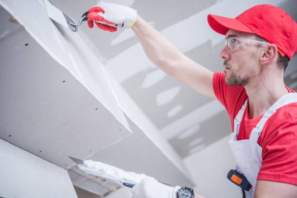 Professional Drywall & Painting Services in Nashwauk, MN